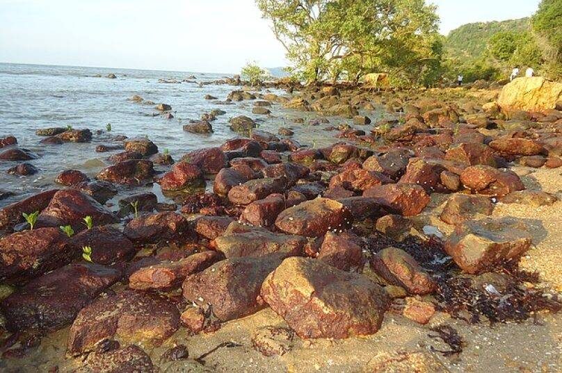 e temas gerais que incluem pautas importantes como a Lagoa de Geribá e as oabras da Ponta do Pai Vitório / foto divulgação