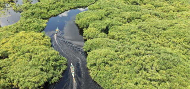 Belterra, na Amazônia, quer ser a "Machu Picchu brasileira"