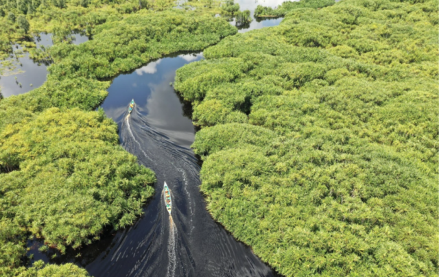 Belterra, na Amazônia, quer ser a "Machu Picchu brasileira"