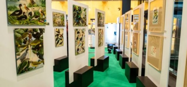 Exposição O Legado Suíço na Amazônia ocorre em Florianópolis