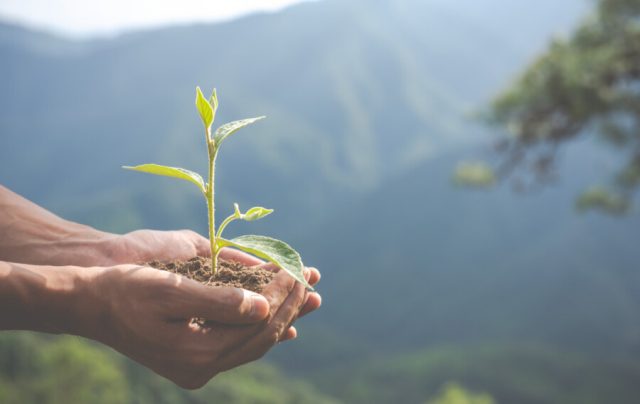 Mercado e consumidores levam empresas a adotar ações de ESG