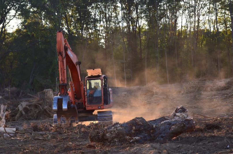 deforestation-2833688-1920
