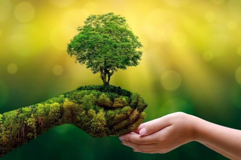 Ecoturismo brasileiro abrange sustentabilidade e responsabilidade ambiental