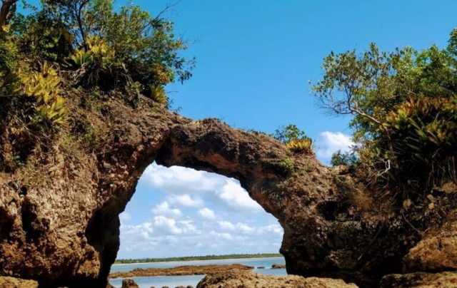 Grupo cultural de Ilhéus resgata ancestralidade africana