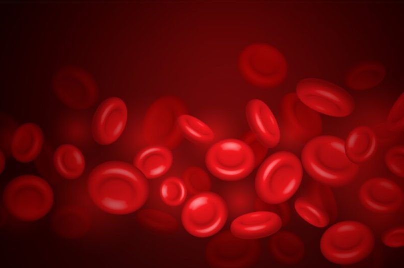 Leucemia pode afetar 11 mil brasileiros até 2025