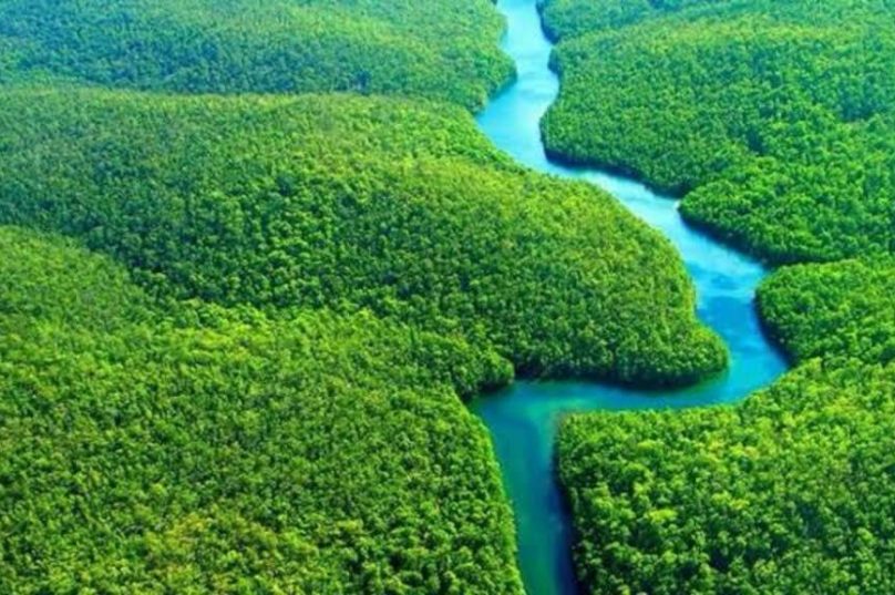 Brasil terá primeiro projeto do mundo na metodologia VM0048