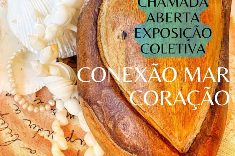 exposição zanine