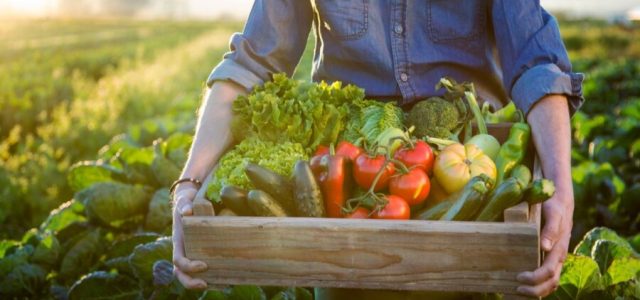 Dia do agricultor é um reconhecimento aos que produzem alimentos para o mundo