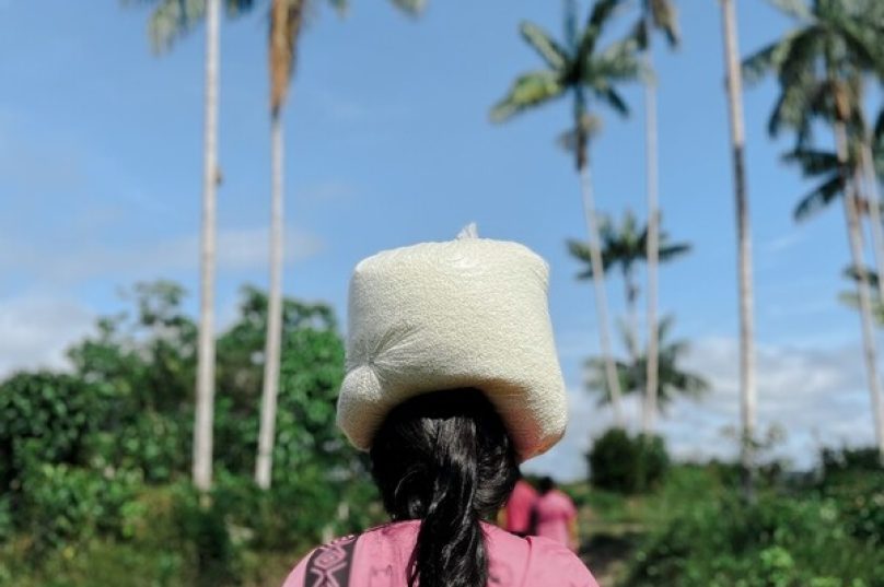 Mulheres lideram soluções climáticas locais no Brasil