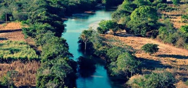 Dia do Cerrado é comemorado em 11 de setembro