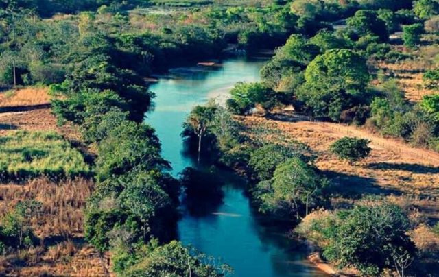 Dia do Cerrado é comemorado em 11 de setembro