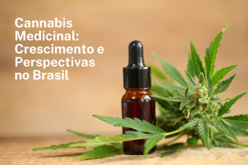 Cannabis medicinal demonstra crescimento otimista no Brasil
