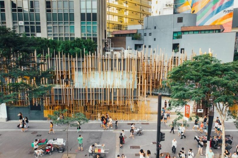 Exposições refletem sobre sustentabilidade em São Paulo