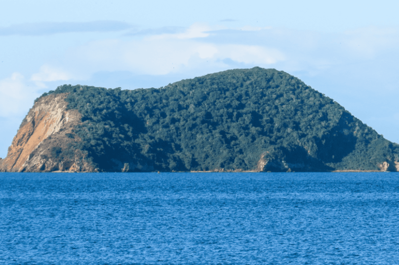 MPF aciona Justiça para retirar cabras da Ilha Feia e exige recuperação ambiental urgente em um dos ecossistemas mais sensíveis de Búzios / divulgação