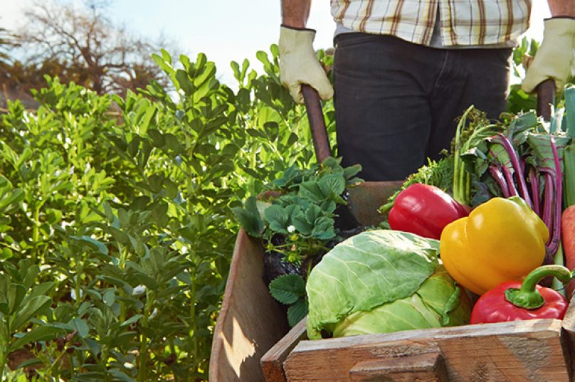 foodjustice