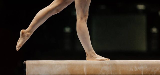 Rio das Ostras recebe o FestGIRO 2025 com ginástica, dança e circo neste sábado; entrada solidária com livro ou ração / foto divulgação