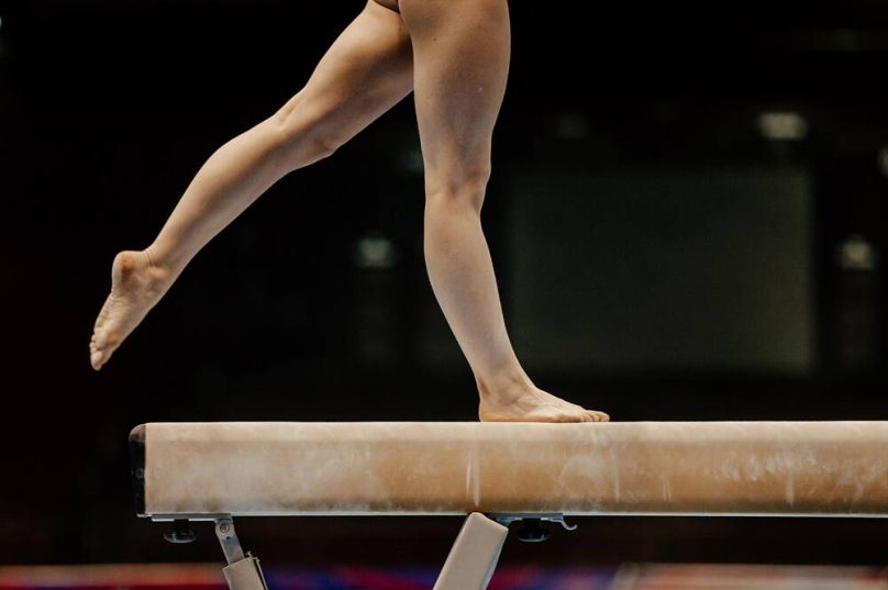 Rio das Ostras recebe o FestGIRO 2025 com ginástica, dança e circo neste sábado; entrada solidária com livro ou ração / foto divulgação