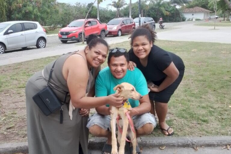 Divulgação