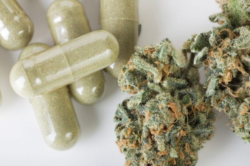 maconha-medicinal-1484947707752_1920x1080