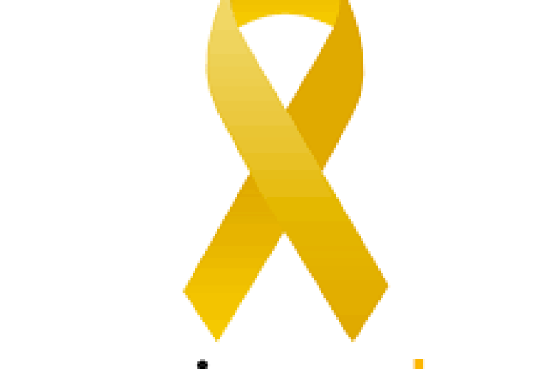 maio amarelo