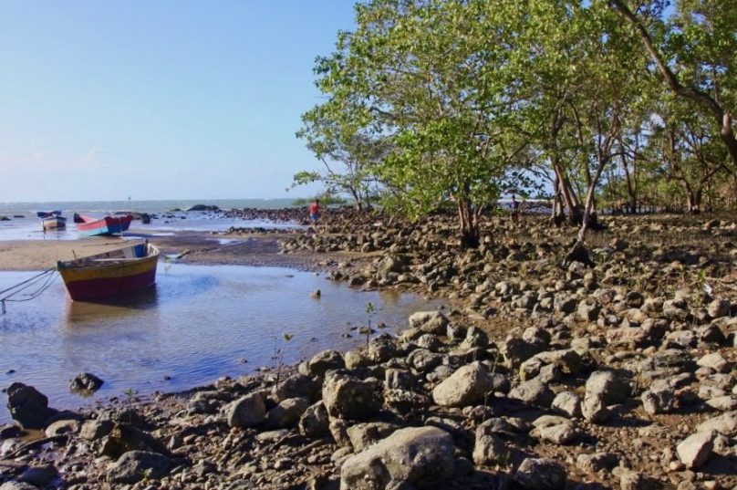 Mangue de Pedras. Imagem: Ronald Pantoja | Prefeitura de Búzios