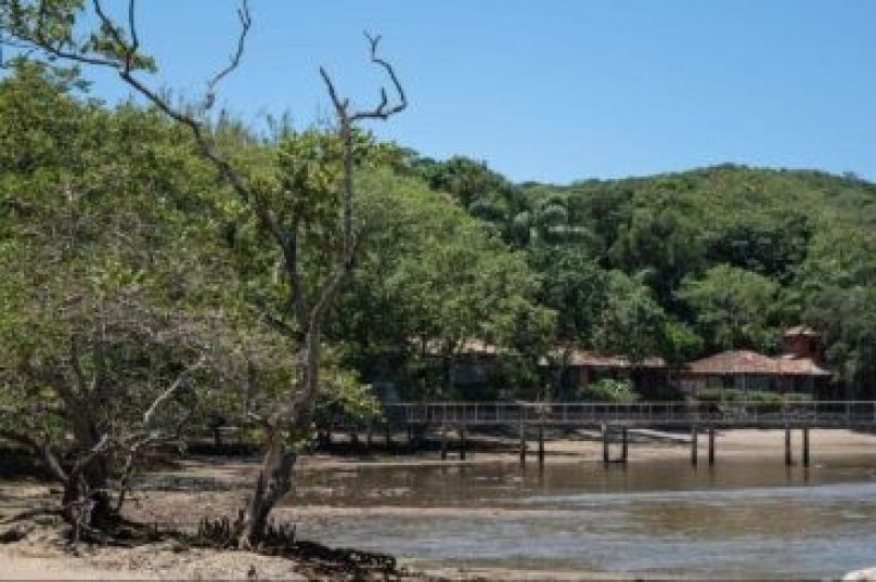 mangue de pedra