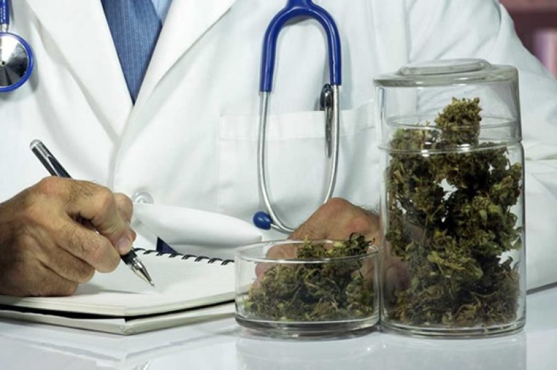 medicos-aprovam-maconha-medicinal-argentina-e-brasil