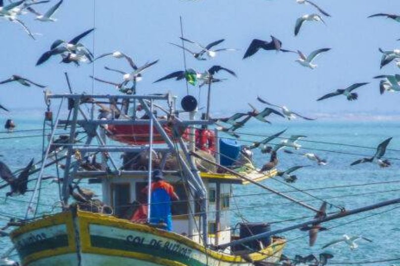 Pescadores artesanais de Búzios questionam exigências para receber o Auxílio Defeso da Sardinha.