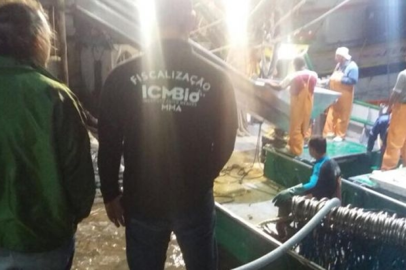 pescados em arraialdo cabo