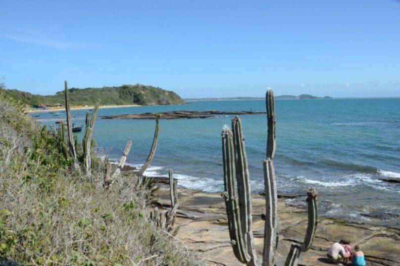 Prefeitura de Búzios realiza ação de limpeza na trilha da Praia da Tartaruga nesta terça-feira (11), reforçando a conservação ambiental / foto divulgação