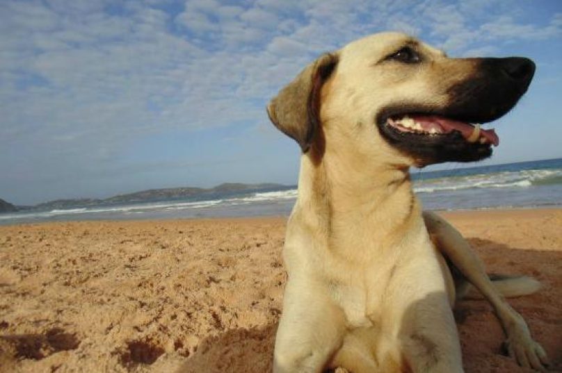 praia-tucuns