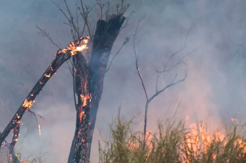 Vegetação seca em Cabo Frio durante período de estiagem, com alerta da Defesa Civil para risco de incêndios florestais.