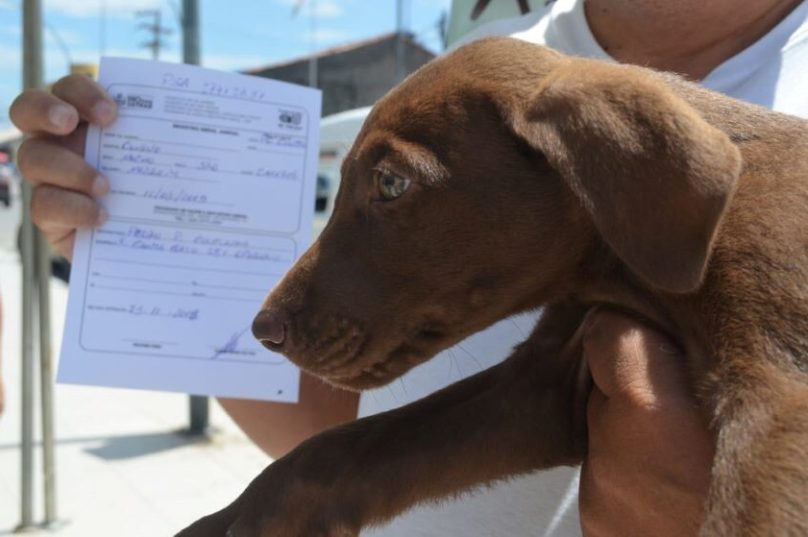 rio-das-ostras-realiza-feira-de-adocao-animal-nesta-terca-dia-9-feira-sera-realizada-nesta-terca-dia-9-foto-divulgacao