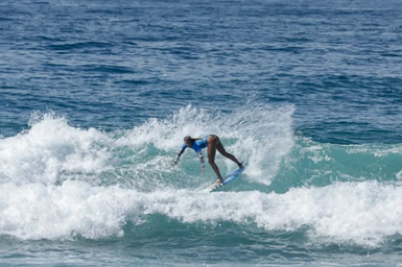 surfe
