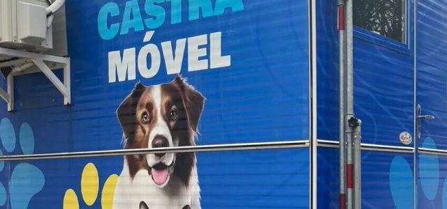 Búzios inaugura Castramóvel neste sábado (12), com castração gratuita, exames e vacinação antirrábica na Praça Tia Uia / foto divulgação