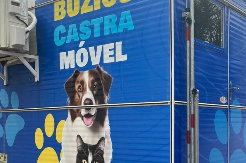 Búzios inaugura Castramóvel neste sábado (12), com castração gratuita, exames e vacinação antirrábica na Praça Tia Uia / foto divulgação