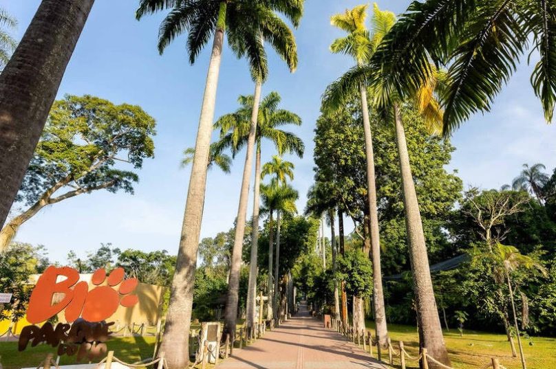 BioParque do Rio reabre após suspensão e oferece entrada gratuita para crianças de até 12 anos até 31 de agosto / divulgação