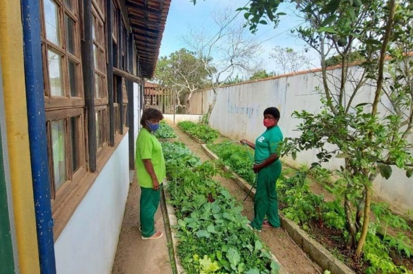 A proposta foi resgatada por duas funcionárias da unidade, Cleris e Maria Cristina. São elas que preparam a terra, colocam o adubo e plantam as mudas. Foto Divulgação