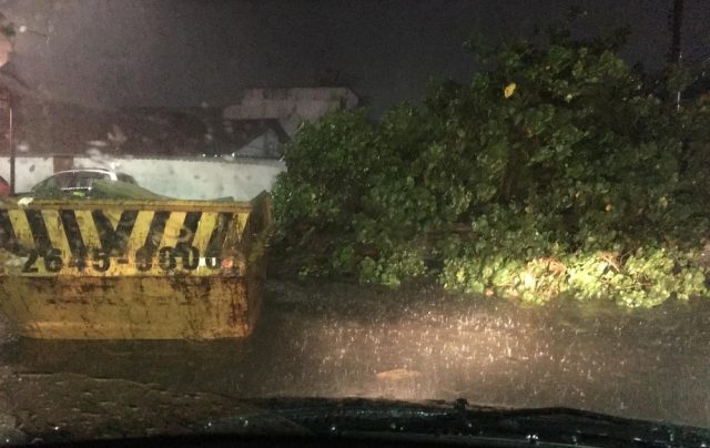 No bairro Caiçara, em Cabo Frio, uma árvore caiu. Foto: Eduardo Idaló