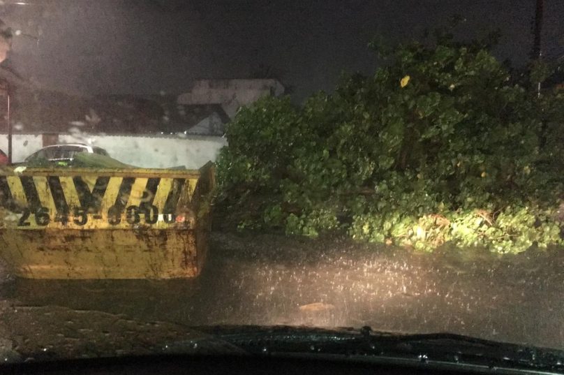 No bairro Caiçara, em Cabo Frio, uma árvore caiu. 
Foto: Eduardo Idaló